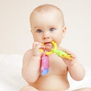 Picture of a baby who is teething, chewing on a teething ring