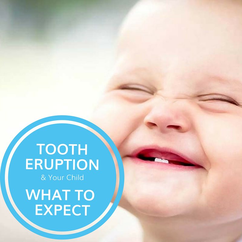Tooth Eruption & Your Child: What to Expect