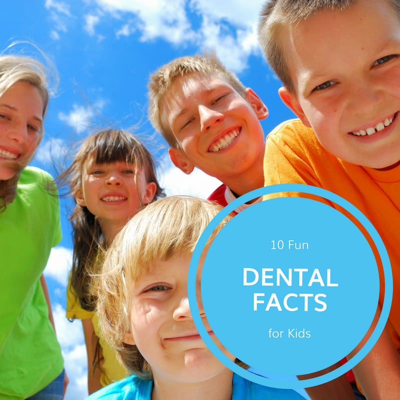 10 Fun Dental Facts For Kids