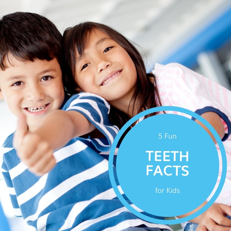 5 Fun Teeth Facts for Kids