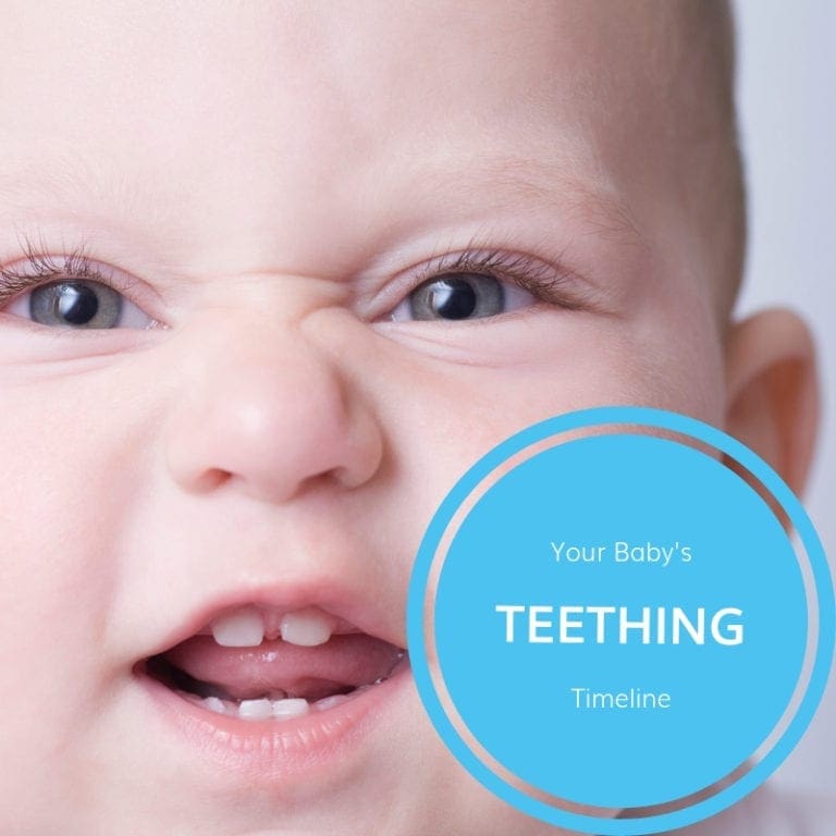 Your Baby's Teething Timeline Potomac Pediatric Dentistry